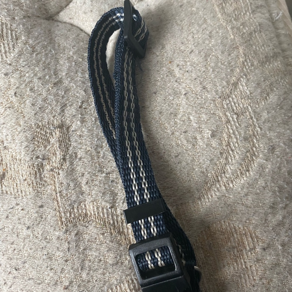 Pet collar